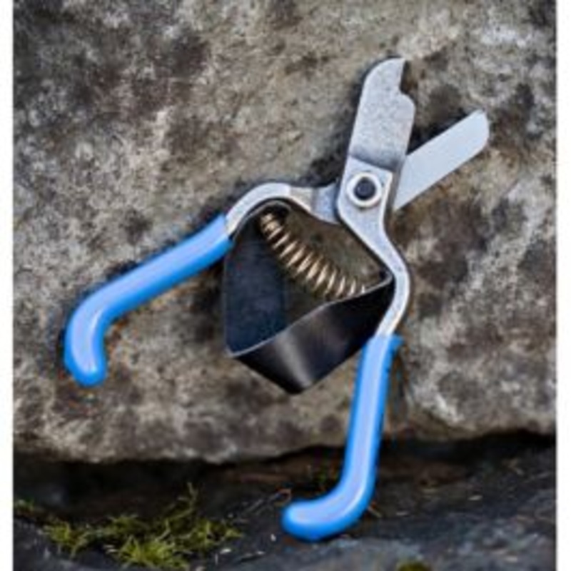 Zenport Stainless Steel Lemon Shear