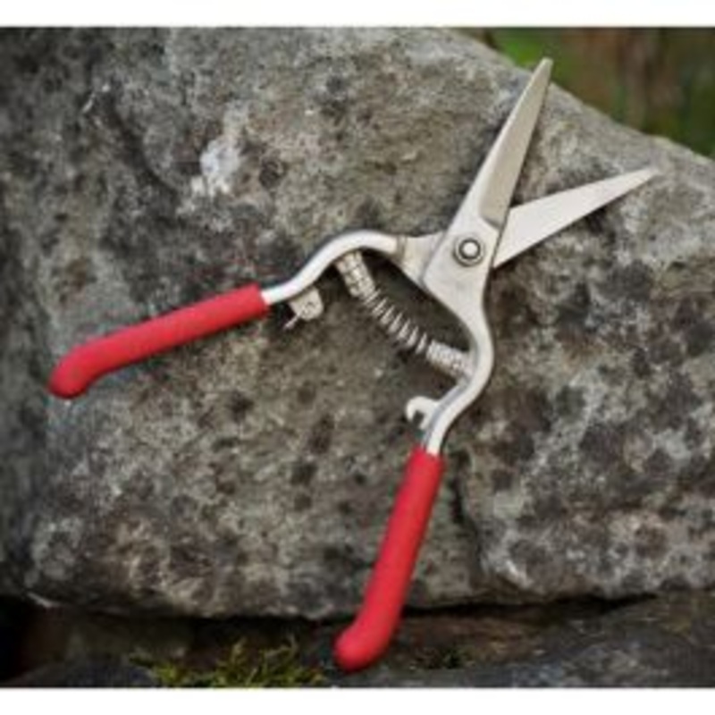 Zenport Forged Harvest Shear with Curved Blades